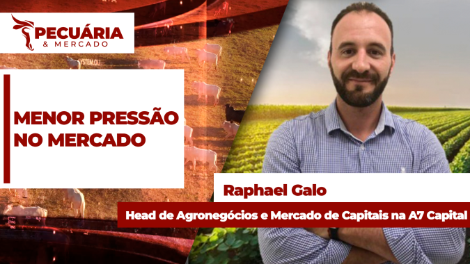 EUA podem incrementar compras de carne bovina do Brasil com redução de tarifas e México fora do jogo