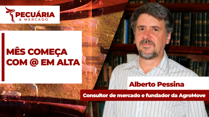 Mês começa com preço da arroba em alta e anúncia de bloqueio da União Europeia