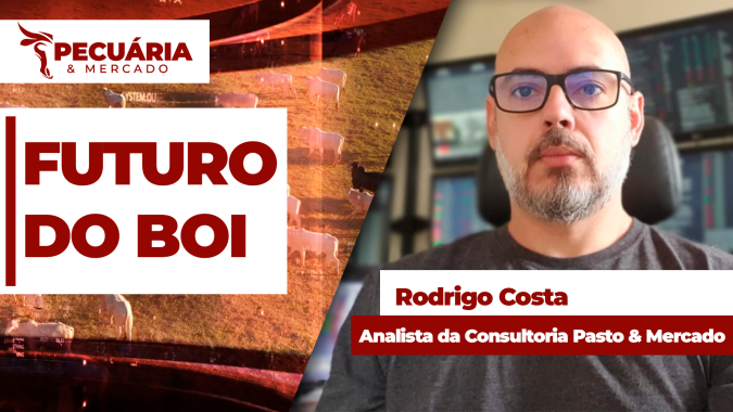 Arroba do boi tende a seguir firme pelos próximos 50 dias, mas sem fundamentos para altas mais agressivas