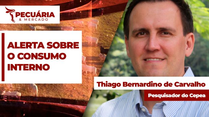 Demanda interna por carne bovina aparece como ponto de atenção na composição de preços da arroba do boi