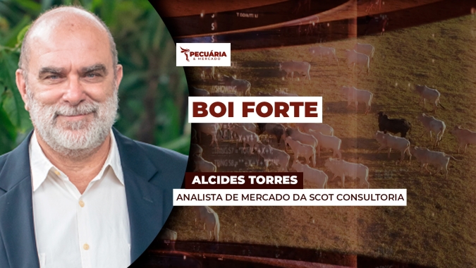 Arroba do boi segue trajetória de alta e mercado é positivo para os preços