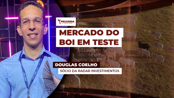 Frigoríficos estão testando novos patamares de preços para arroba com foco nos R$310 /@ em SP