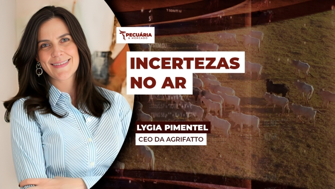 Arroba do boi para de cair, mas incertezas sobre as demandas e volume de oferta podem limitar altas