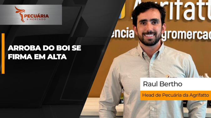 Arroba do boi se firma em alta e reajustes de R$5/@ são registrados em diferentes praças