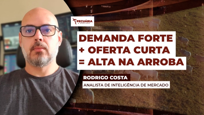 Exportações fortes, preços firmes da carne no atacado e mais oferta reduzindo de animais, criam cenário de alta para arroba