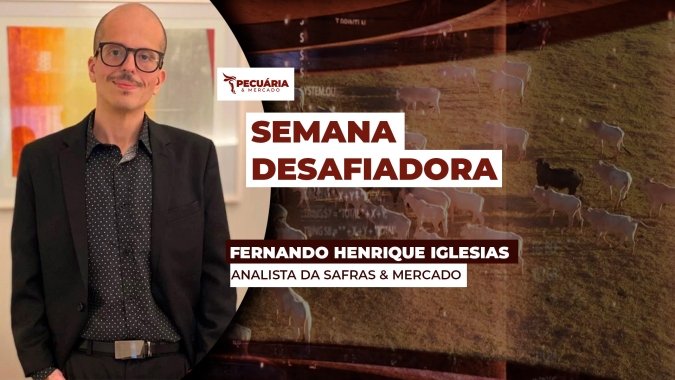 Incertezas sobre a demanda chinesa tiram frigoríficos das compras e mercado do boi inicia semana travado