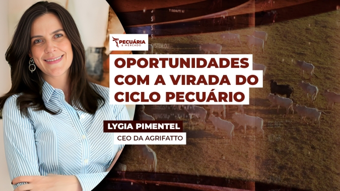 Virada do ciclo pecuário e as oportunidades para a produção