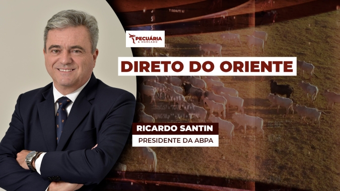 Brasil comemora 50 anos de exportação para o Oriente Médio e se consolida como principal fornecedor de carne de frango para a região