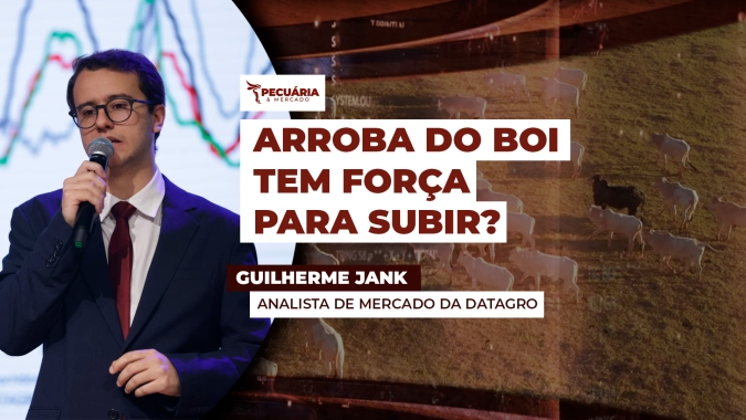 Variação da arroba tende a ser  limitada no primeiro semestre por fatores como milho, câmbio e consumo