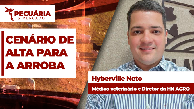 Atenção para alta da arroba do boi com destaque para dois bons momentos, final do ano e primeiro trimestre de 2027