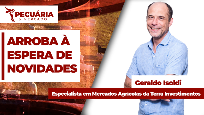 Cotação da arroba se acomoda e pode até sofrer pressão no curto prazo, mas viés é positivo para os preços