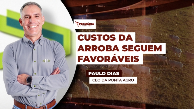 Centro-Oeste e Sudeste registram custos por arroba abaixo de R$ 200, garantindo lucro acima de R$ 930 por animal