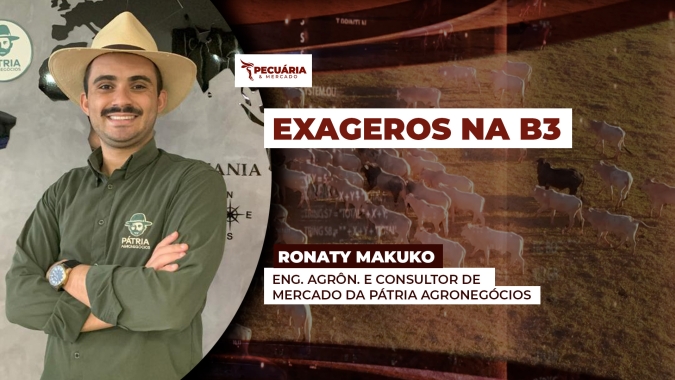 Queda de R$15 na arroba do boi, projetada pela B3 para os meses de julho e agosto é exagerada, alerta Makuko