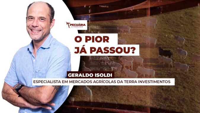 Arroba do boi na B3 busca recuperação enquanto mercado físico segue firme e com negócios voltando a fluir