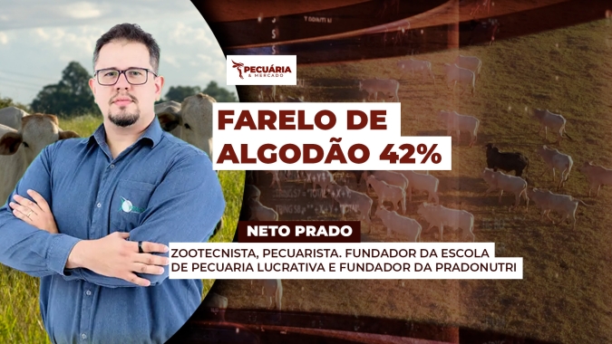 Quais as vantagens e quando utilizar o farelo de algodão na dieta dos animais