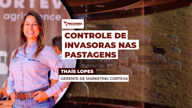 Invasoras nas pastagens provocam degradação do solo e impactam na qualidade e produção de forragens