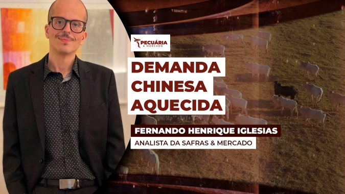 Demanda externa garantiu sustentação da arroba bovina em 2025