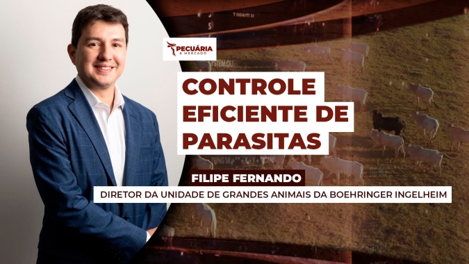 Controle ineficiente dos parasitas gera prejuízos de mais de R$70 bi por ano na pecuária brasileira