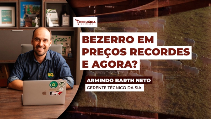 Dicas práticas para evitar armadilhas na aquisição de bezerros durante esse período de valorização