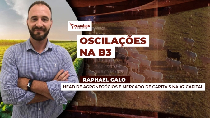 Mercado do boi gordo vive inferno astral na B3 com fortes oscilações da arroba