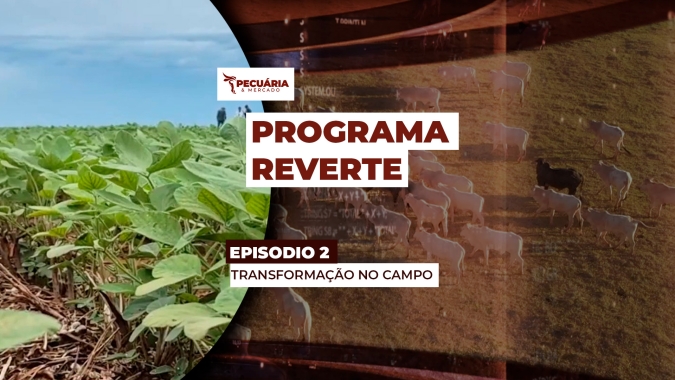 O trabalho de transformação de solos degradados em áreas produtivas, potencializa resultados na fazenda