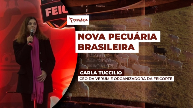 A evolução já começou mas ainda há  muito para avançar na pecuária brasileira