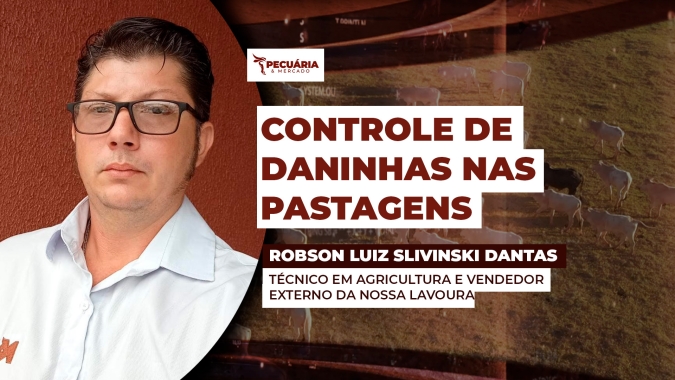 Rebrote de plantas daninhas ainda é  um desafio na pecuária e exige atenção no controle