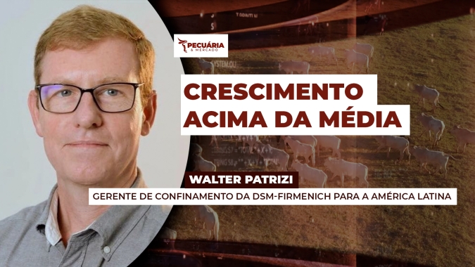 Número de animais confinados em 2025 cresceu 16% , acima da média histórica