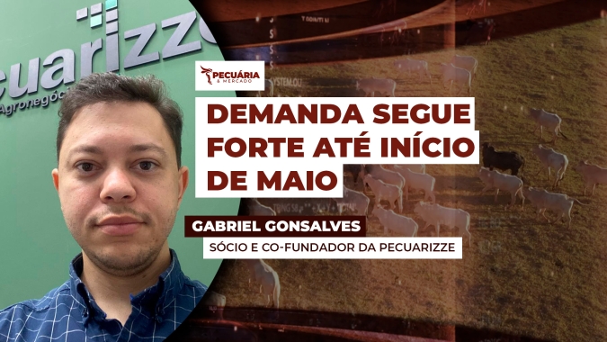 Depois do feriado prolongado que ajudou a enxugar os estoques dos frigoríficos, mercado agora foca no Dia das Mães