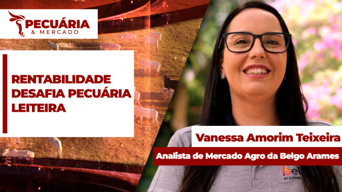 A rentabilidade da atividade leiteira depende cada vez mais da eficiência produtiva, alerta especialista