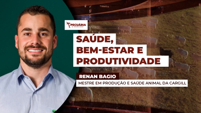Estratégias para mitigar os impactos do estresse térmico na produção leiteira
