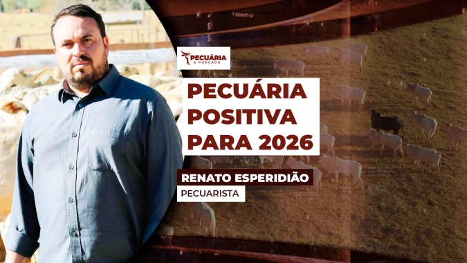 Pecuarista ainda acredita em boa oferta de animais em 2026 , com recuo na participação de fêmeas e arroba sem exageros