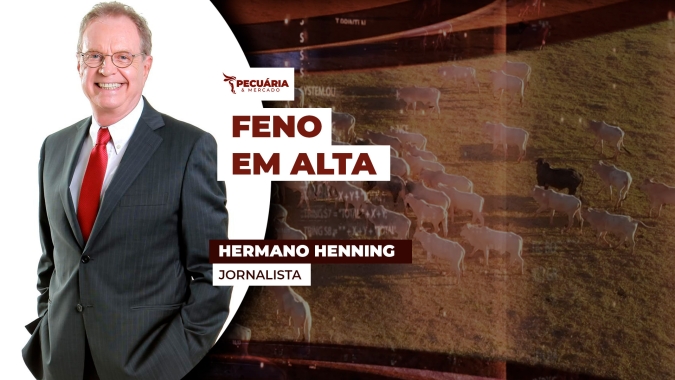 Custo elevado tem motivado criadores de cavalo do interior de SP a produzir o próprio feno