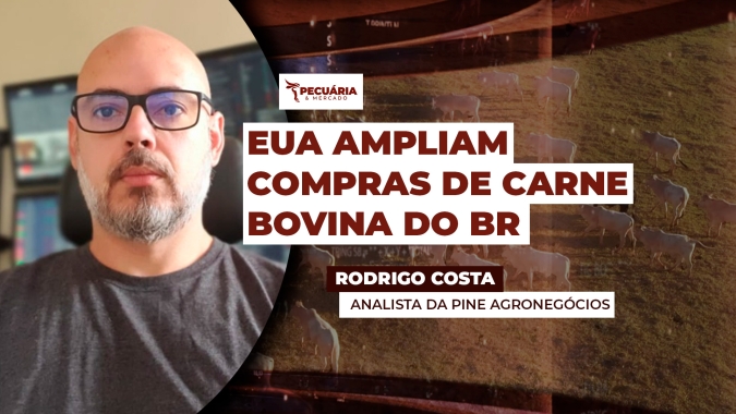Com déficit de oferta, EUA importam 9 mil toneladas do Brasil em novembro e tendem a seguir comprando no início de 2026