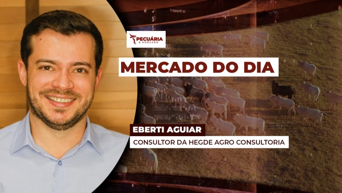 A participação de fêmeas nas escalas de abate tende a ser um entrave para arroba no primeiro trimestre