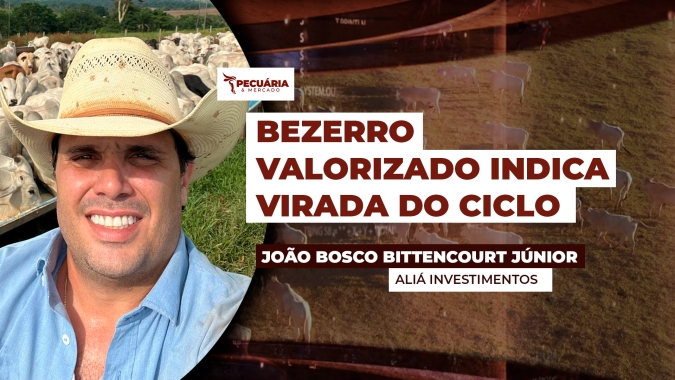 Reposição valorizada e ágio de até 41,5% derrubam a troca para 2,1 bezerros e tornam a margem do pecuarista ainda mais apertada