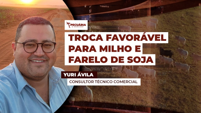 Especialista alerta para janela ideal de compra de milho e farelo de soja; insumos podem subir nos próximos 60 dias