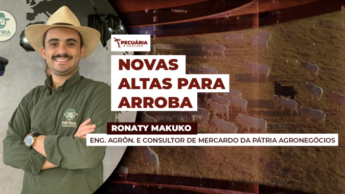 Alta do boi gordo ganha força em outubro e deve seguir firme até 2026, aponta consultor da Pátria Agronegócios