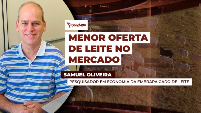 Menor oferta de leite  pode levar a uma alta dos preços em março, diz especialista