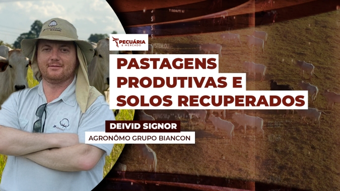Pioneira em 2021, a propriedade recupera áreas degradadas e adapta dois tipos de ILP às diferentes condições de solo, aumentando produtividade e sustentabilidade