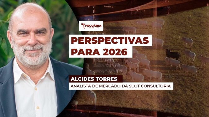 Preços da arroba devem chegar em R$ 350,00 em 2026, mas custos de produção também devem estar elevados