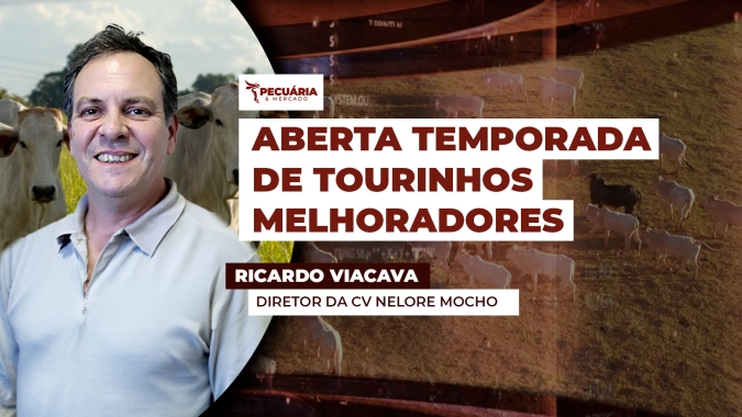 Pecuarista de SP fala sobre o mercado de genética e o início da temporada de venda dos tourinhos melhoradores