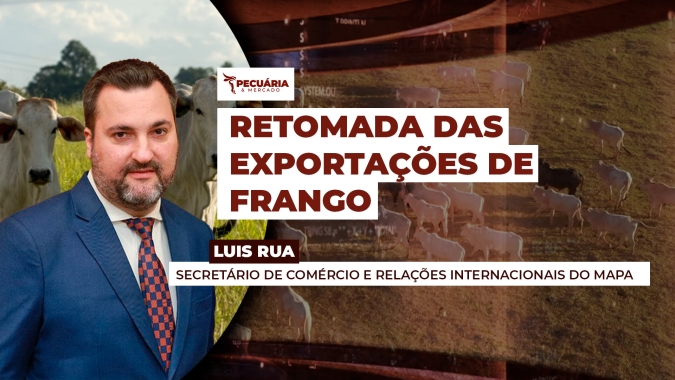 Retomada total das exportações de carne de frango do Brasil ainda depende de dez países