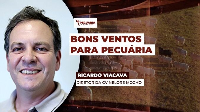 Pecuarista em SP está otimista e acredita em ano com rentabilidade positiva, independente do preço da arroba