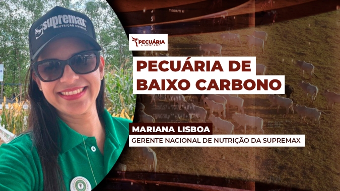Tecnologias na nutrição animal ajudam a mitigar emissões de metano na pecuária