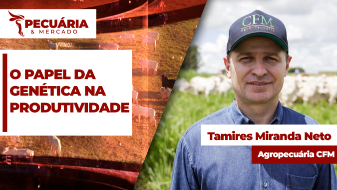 Tendências no mercado de tourinhos reprodutores e  o que busca o pecuarista comprador