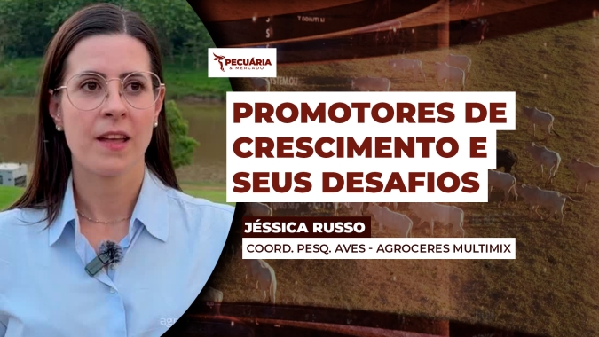 A redução no uso de promotores de crescimento e as alternativas que garantem a sanidade do plantel avícola