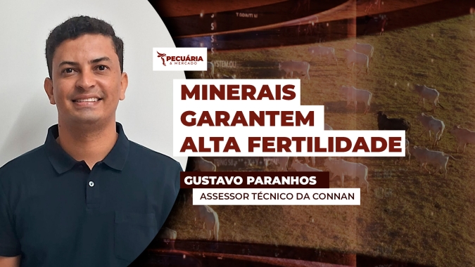 Suplementação mineral garante fertilidade, maior natalidade e melhor desempenho mesmo em períodos de estiagem