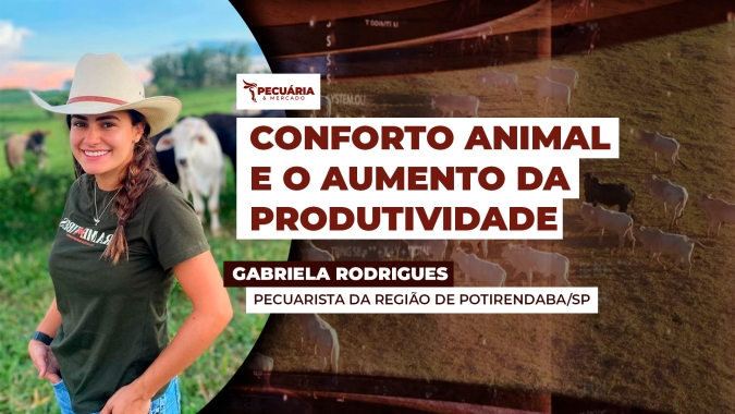 Conforto animal e boas práticas de manejo têm proporcionado bons resultados de produtividade e rentabilidade com o leite.