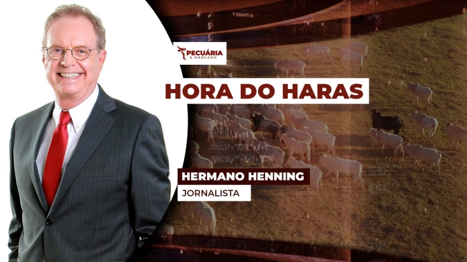 Leilões procurados e animais valorizados sinalizam retomada de crescimento do mercado de Cavalos Árabes